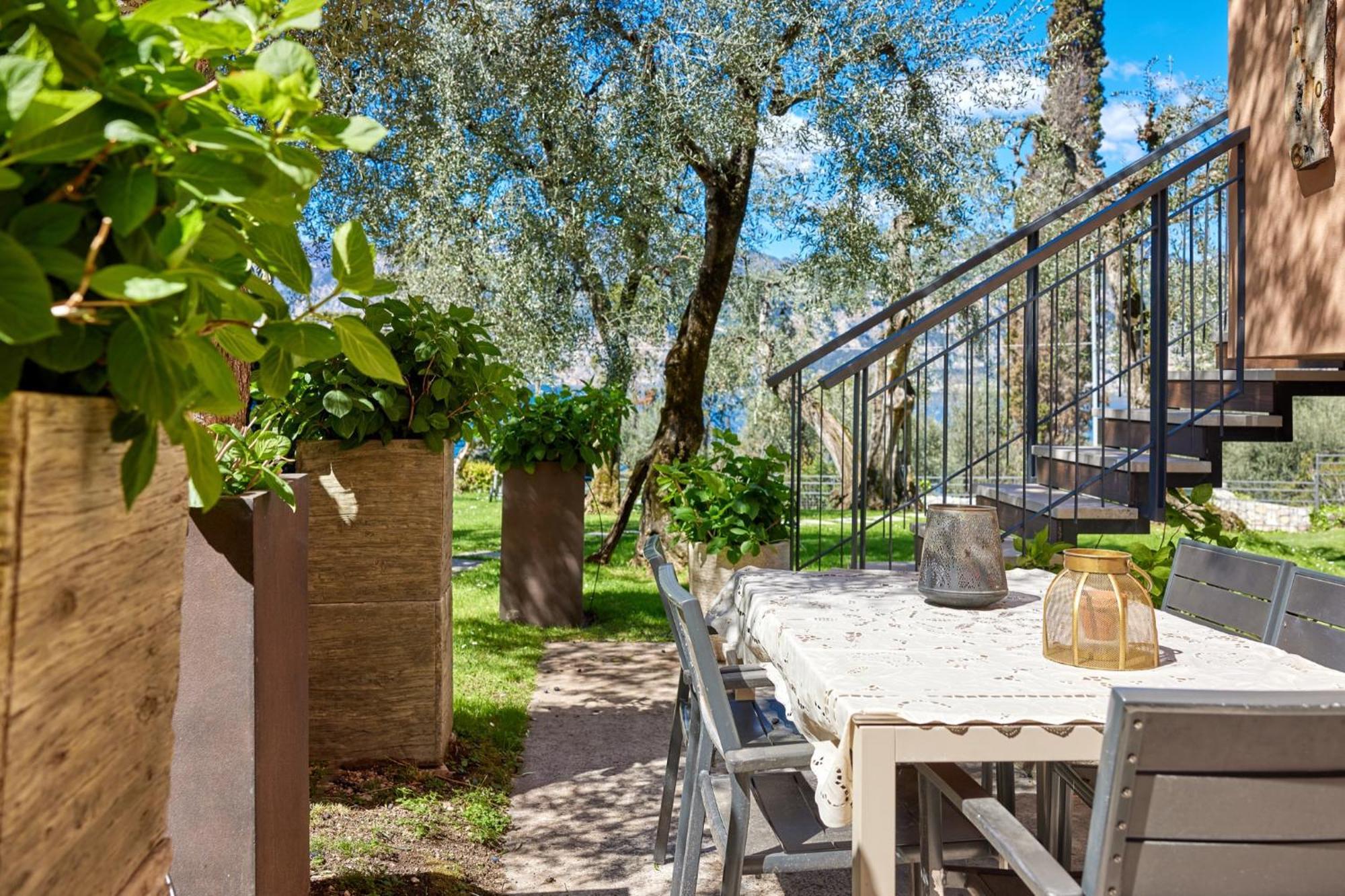 Callalillyjardin مالتشيزينيه المظهر الخارجي الصورة