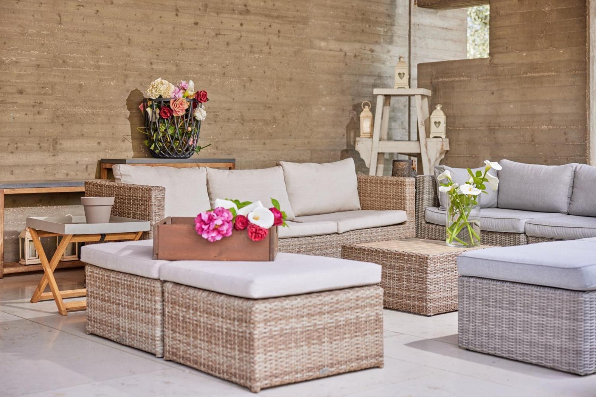 Callalillyjardin مالتشيزينيه المظهر الخارجي الصورة