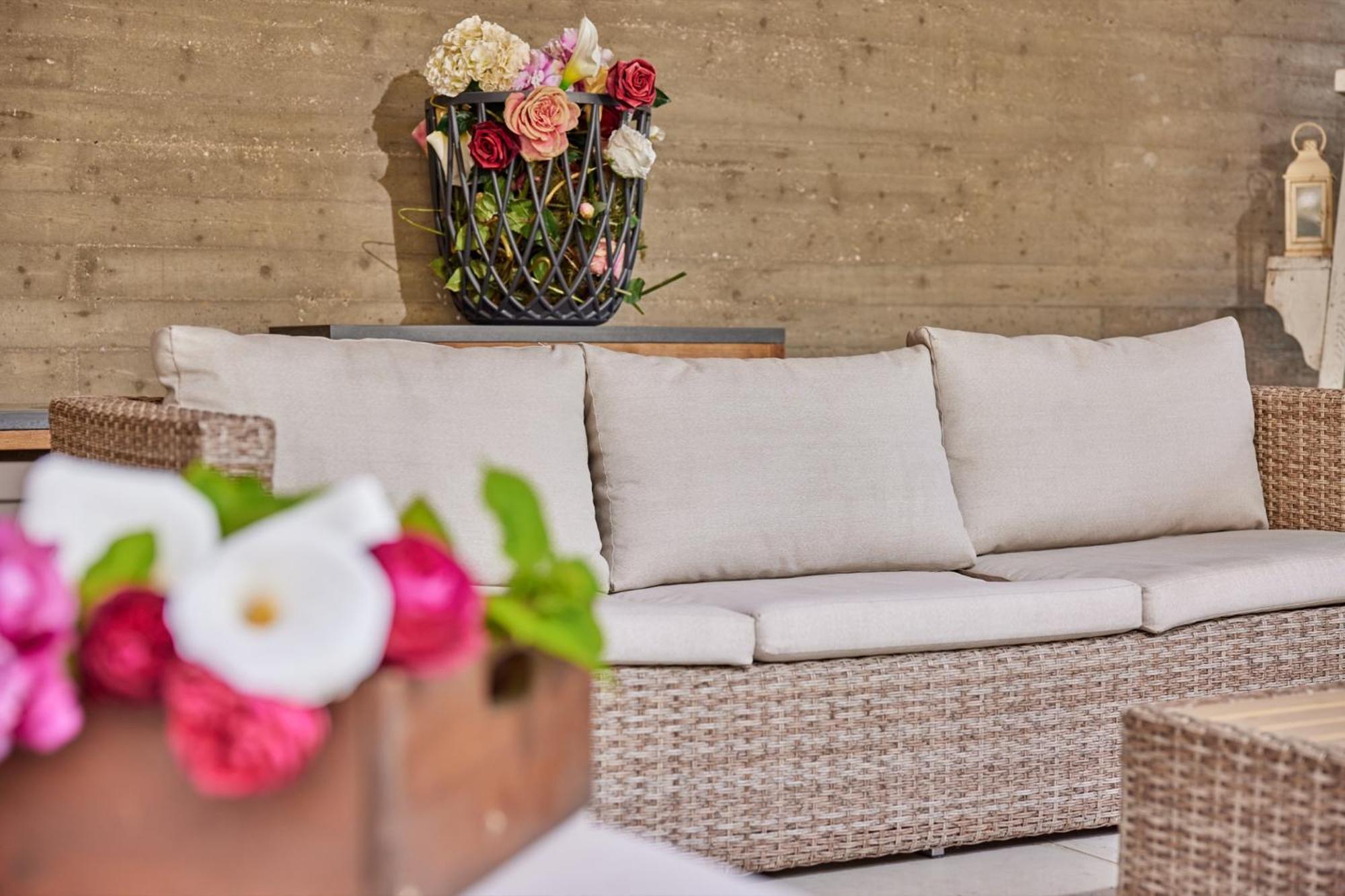 Callalillyjardin مالتشيزينيه المظهر الخارجي الصورة